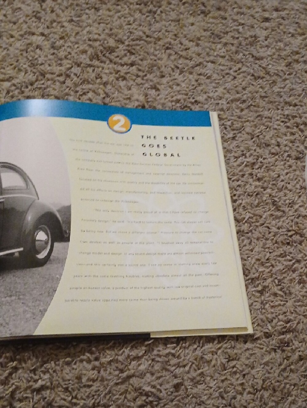 Beetlemania Book - Picture 4 of 5